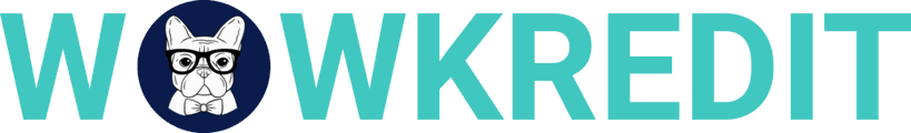 WOWKREDIT – Kreditvermittlung in Halle (Saale)